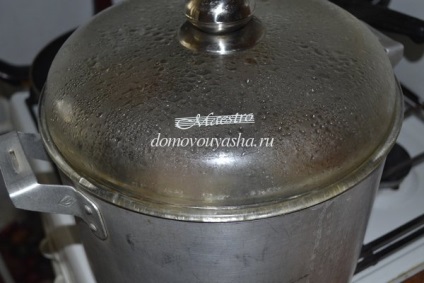 carne de vită conservată de vită de casă (tocană de casă este gata) carne de vită conservată de vită de casă