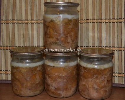 carne conservată de vită de casă (reteta tocană de casă cu fotografie) carne de vită conservată de vită de casă
