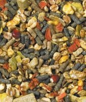 Chinchilla dieta (produse alimentare) dieta chinchilla