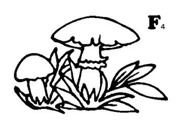 Desenați o casetă pentru vacanță (Anul Nou) - pictură, grafică, artă (desen) Desenați o casetă pentru vacanță (Anul Nou) - pictură, grafică, artă