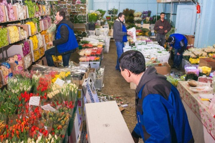 piața de flori Riga, piața de flori la momentul Riga, fotografii, comentarii, piața din Moscova (flori) piața de flori Riga, piața de flori la momentul Riga, fotografii, recenzii, piețe Moscova