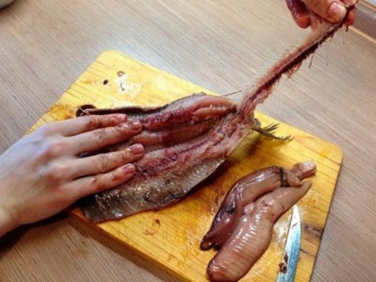 Hering în limba rusă (în limba rusă) Hering în limba rusă