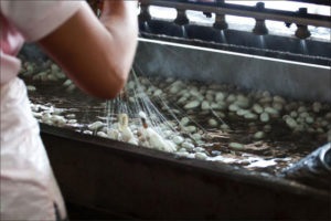 sfaturi de mătase lenjerie de pat pentru alegerea, avantajele și dezavantajele (pat) sfaturi de mătase lenjerie de pat pentru alegerea, avantaje și dezavantaje