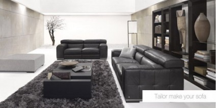 Modern canapea 40 fotografie (fotografie canapea modernă) canapea modernă 40 fotografie