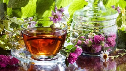Pe bază de plante de utilizare ceaiuri specii (ceaiuri de plante tipuri de beneficii ca a lua) Tipuri de ceaiuri de plante, beneficii