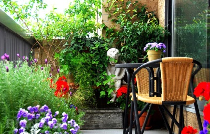 Dispozitivul din grădina de iarnă pe balcon cu mâinile (iarna) Dispozitivul din grădina de iarnă pe balcon cu mâinile sale