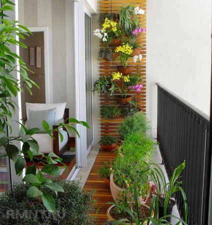Dispozitivul din grădina de iarnă pe balcon cu mâinile sale (ce plante pentru a alege) Dispozitivul din grădina de iarnă pe balcon cu mâinile sale