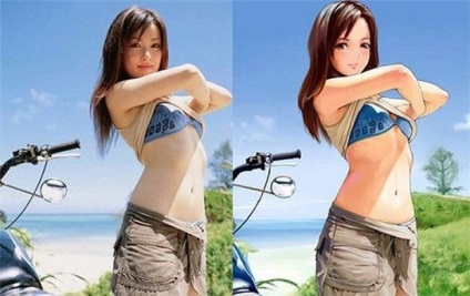 sondaj japonez că valoarea japoneză cel mai mult în anime (Japonia) sondaj japonez că valoarea japoneză cel mai mult în anime