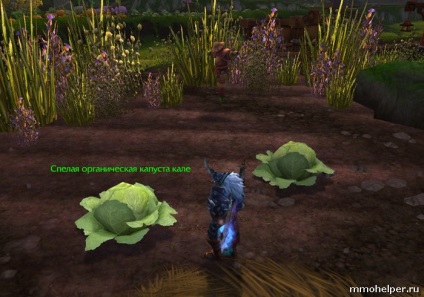 Fermierii din ceața de Pandaria (fermieri) Fermierii din negura Pandaria