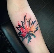 Valoarea de arțar frunze tatuaj sens, istorie și fotografii (tatuaj) Valoarea de arțar frunze tatuaj sens, istorie și fotografii