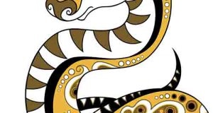 Zodiac șarpe, semne zodiacale (anul sarpelui) Zodiac șarpe, semne zodiacale
