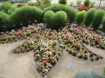 16 Culturi de flori care au nevoie pentru a planta puieți în aprilie (puieți) 16 culturi de flori care au nevoie pentru a planta răsaduri în aprilie