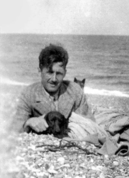 18 fotografii minunate de lei, care au avut propriile lor scriitori și poeți (au fost) 18 fotografii minunate de lei, care au avut propriile lor scriitori și poeți?