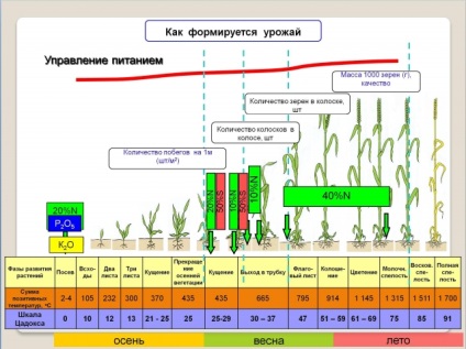 Alexander Kharchenko - aruncarea Ministerul Agriculturii în căutarea de modalități de creștere a randamentului - Regnum ia (sistem) Alexander Kharchenko - aruncarea Ministerul Agriculturii în căutarea de modalități de creștere a randamentului - printre altele, Regnum