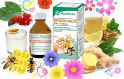 Aloe și păr facial, un blog Iriny Zaytsevoy (aloe) Aloe și păr facial, un blog Iriny Zaytsevoy