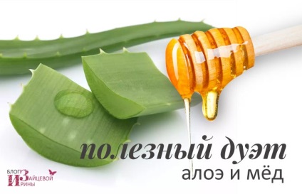 Aloe și păr facial, un blog Iriny Zaytsevoy (minute se clătește cu cald) Aloe și păr facial, un blog Iriny Zaytsevoy