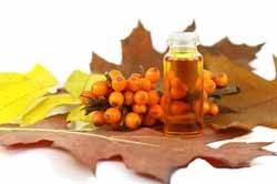 Aloe și păr facial, un blog Iriny Zaytsevoy (păr) Aloe și păr facial, un blog Iriny Zaytsevoy