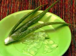 Aloe și păr facial, un blog Iriny Zaytsevoy (persoană) Aloe și păr facial, un blog Iriny Zaytsevoy