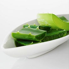 Compoziție Aloe și proprietăți terapeutice (proprietăți) Compoziție Aloe și proprietăți medicinale