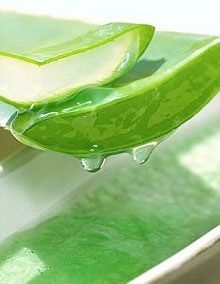Compoziție Aloe și proprietăți terapeutice (proprietăți) Compoziție Aloe și proprietăți medicinale