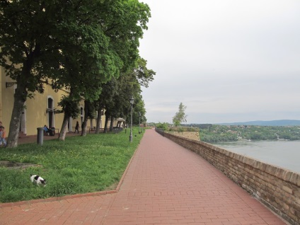 Angiola, plictisitor ca în Bosnia în timpul sărbătorilor de mai (angiola) Angiola, plictisitor ca în Bosnia în timpul sărbătorilor de mai