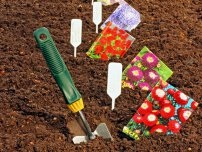 Aprilie - timpul de flori de plantare pe răsaduri (master class), flori de grădină (conac) (color) Aprilie - timpul de plantare de flori pe răsaduri (master class), flori în grădină (conac)
