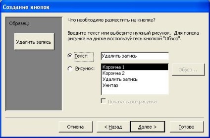 Baze de date (care apare panou următor) Baze de date