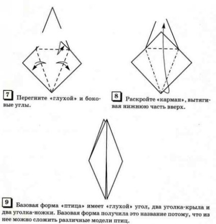 Forma de bază (formular) Forma de bază