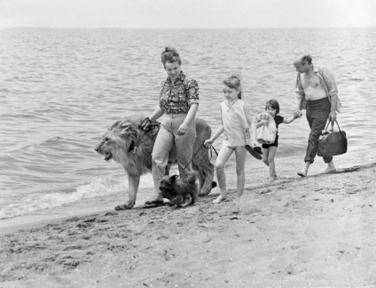 Berberova tragedia din 1980 (an) Berberova tragedie în 1980