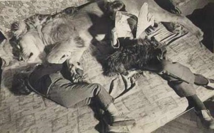 Berberova tragedia din 1980 (an) Berberova tragedie în 1980