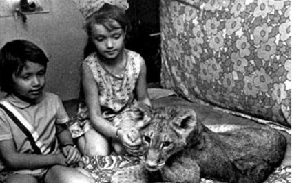 Berberova tragedie 1980 (Berberova) Berberova tragedie în 1980