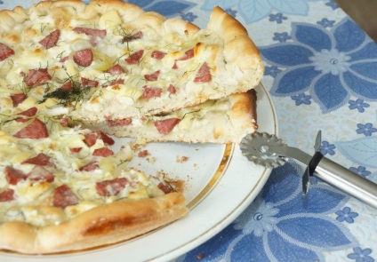 Electrocasnice - pizza maker printesa 115000 - asistent universal amantă, experți de club (fratele) dns Electrocasnice - pizza maker printesa 115000 - asistent universal amantă, experți club de dns
