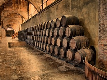 Ideea de afaceri de producție coniac (producția de brandy interne) producție de afaceri idee coniac