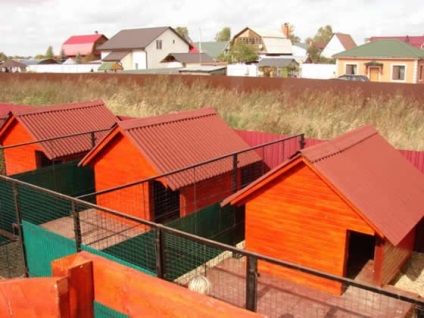 Plan de afaceri canisa pentru câini (plan de afaceri) Business canisa plan pentru câini