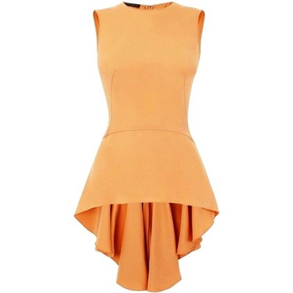 Bluza cu bluza basc cu fotografii de basci (basci) Bluza cu bluza basc cu basci fotografie