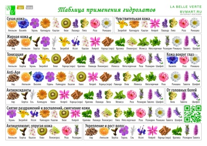 Ceea ce este util pentru păr păpădie (Taraxacum) Utile decât un fir de păr de păpădie