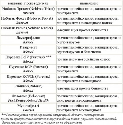 Ce trebuie să știți despre vaccinuri si imunizare pentru pisici (pisici) Ce trebuie să știți despre vaccinuri si imunizare pentru pisici