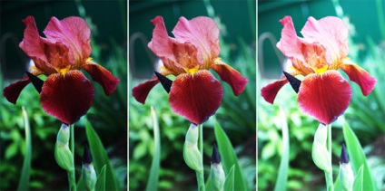 Care este expunerea în fotografie (care este expunerea în fotografie) Care este expunerea în fotografii