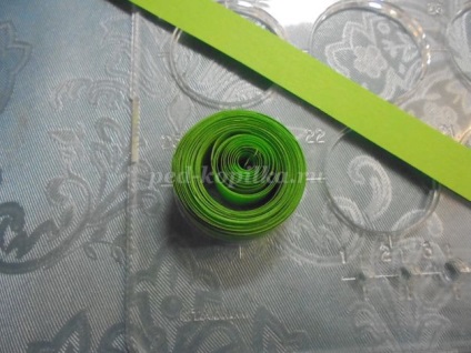 Culori în gerbera arta Kvilling (Gerbera) Flori Gerbera în tehnici Quilling