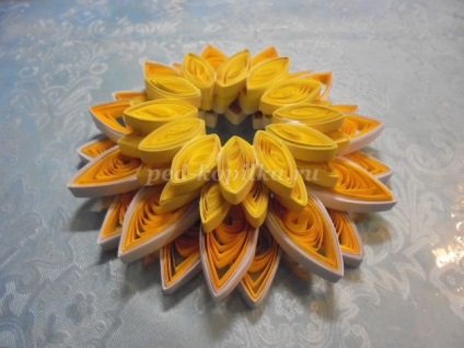Culori în gerbera arta Kvilling (Gerbera) Flori Gerbera în tehnici Quilling