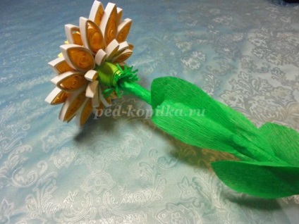 Culori în gerbera arta Kvilling (Gerbera) Flori Gerbera în tehnici Quilling