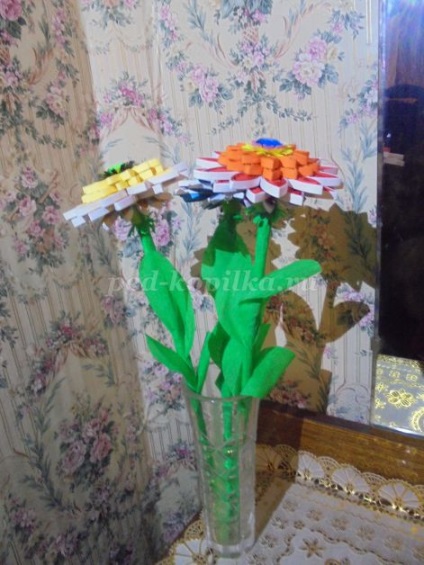 Flori gerbera Kvilling în domeniu (tehnologie) Flori Gerbera în tehnici Quilling