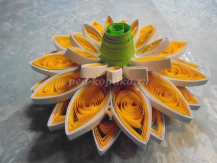 flori gerbera in tehnica quilling (flori) Flori Gerbera în tehnici Quilling