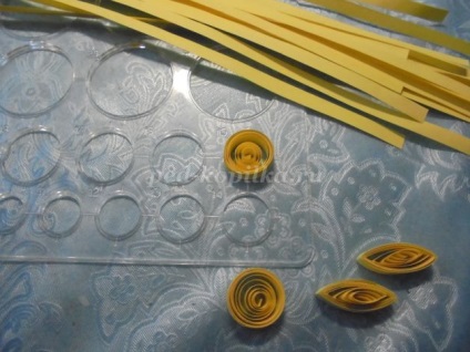 flori gerbera in tehnica quilling (flori) Flori Gerbera în tehnici Quilling