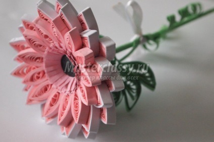 floare gerbera cu propriile sale mâini (timp) floare gerbera cu propriile sale mâini