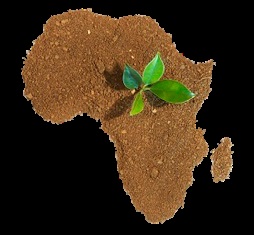 Wildlife de continentul african (Africa) Wildlife de pe continentul african