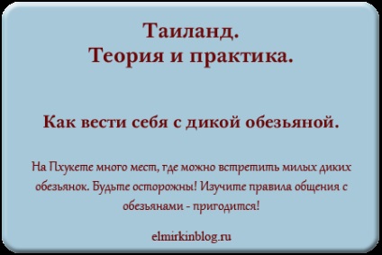 maimuțe sălbatice, un blog despre Tailanda (maimuțe sălbatice) maimuțe sălbatice, un blog despre Thailanda