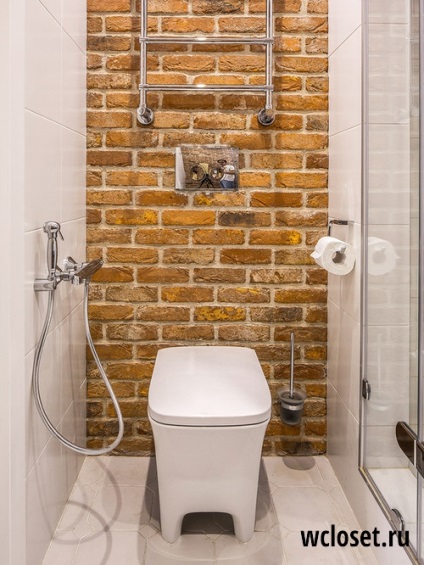 Design-ul toaletei 2017 - 50 de fotografii cu cele mai bune idei moderne (WC) Design-ul toaletei 2017 - 50 de fotografii cu cele mai bune idei moderne