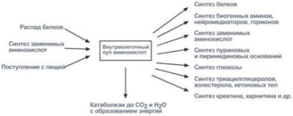 Pentru aminoacizii caracteristică amfoter