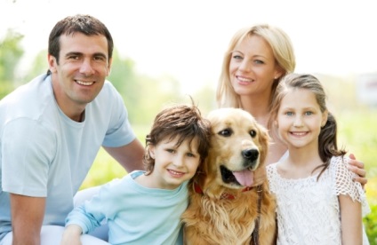 câini animale domestice (câini) ciinilor permis